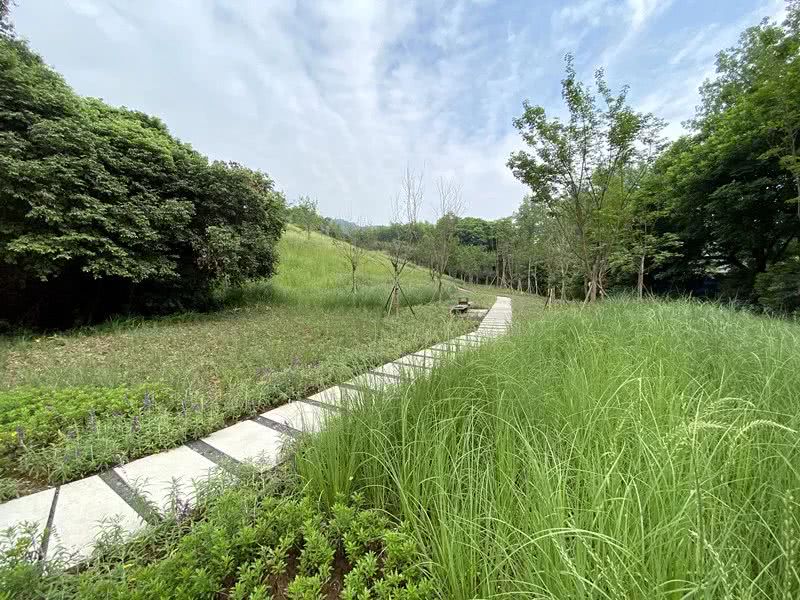 環(huán)境監(jiān)測站節(jié)省成本、提**率