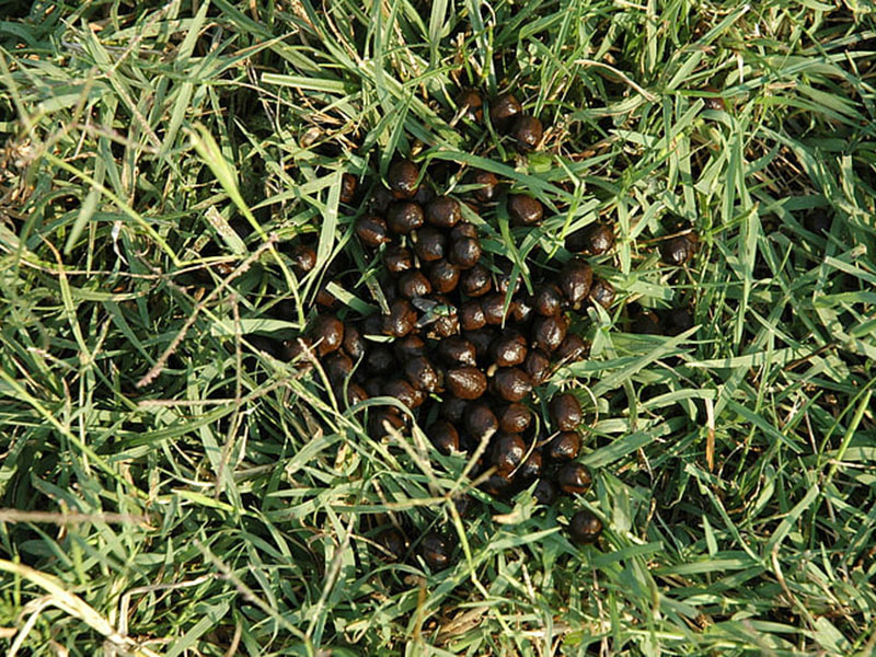 為什么要檢測肥料中的水分