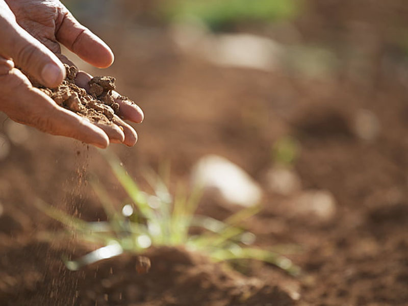 土壤肥料養分檢測儀靠譜嗎