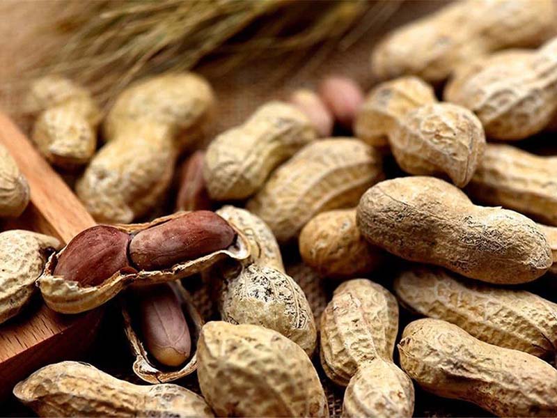 怎樣檢測食物中的黃曲霉毒素